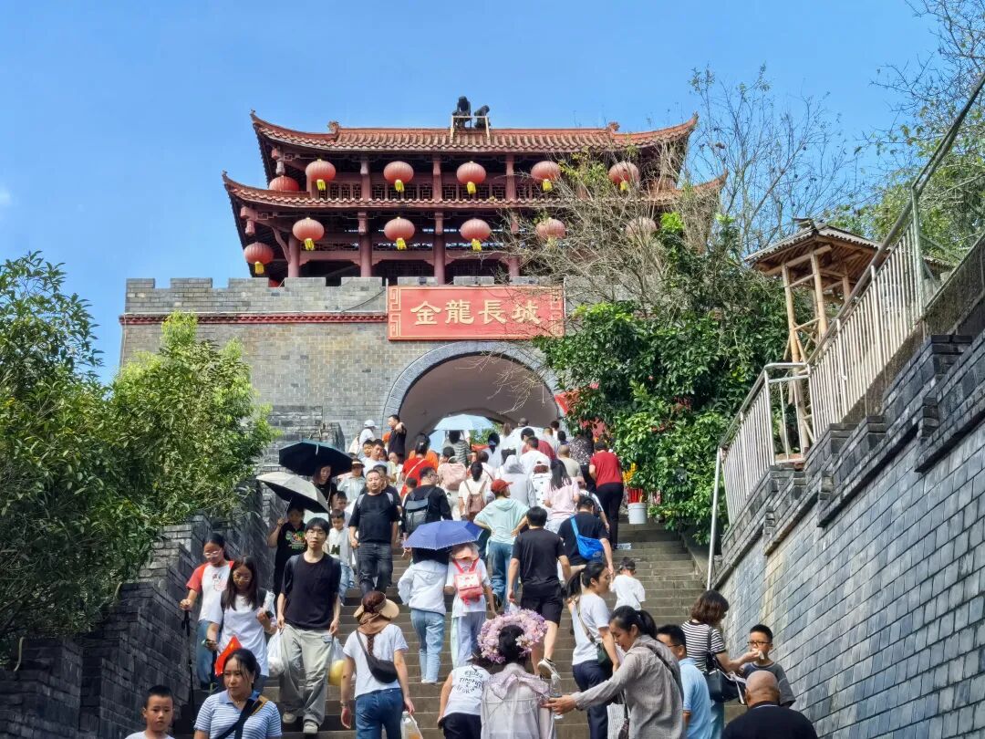 ʡż򵼴ӿչ졢˫ڡ徲鲢̽οһ߸ɲְ